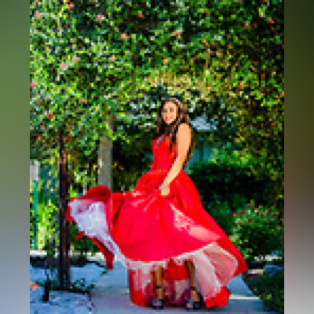 Alyce Paris Formal Red Dress